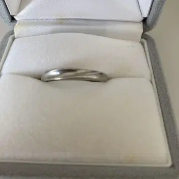 플래티넘 반지
