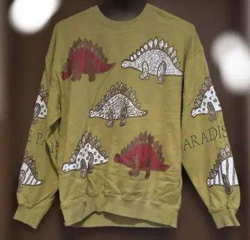 USPP 공룡 프린트 후드티 M