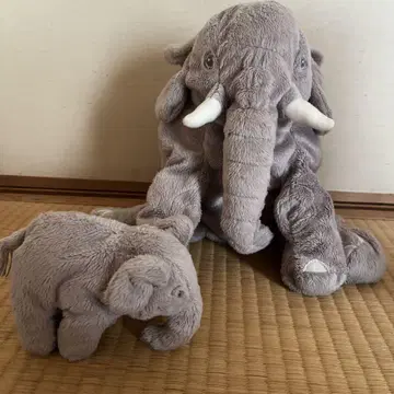 태국 선물 코끼리 모자() 봉제 인형 세트