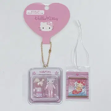 미니어처 패키지 참 헬로키티