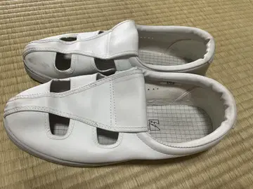 정전기 방지 신발 (미도리 안전) 29cm