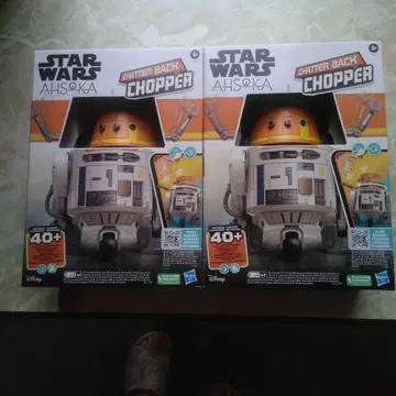 HASBRO STAR WARS 백 초파