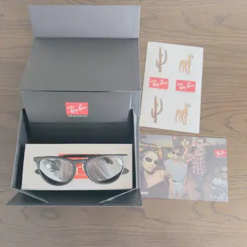 Ray-Ban Erika 레이밴 선글라스 편광