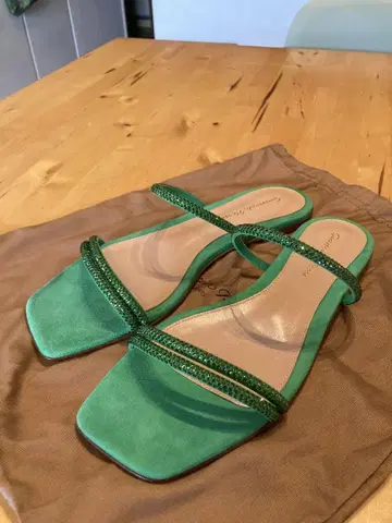 Gianvito Rossi 잔비토 로시 스웨이드 플랫 샌들