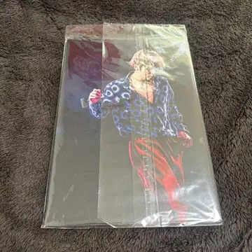 하세가와 마코토 패널