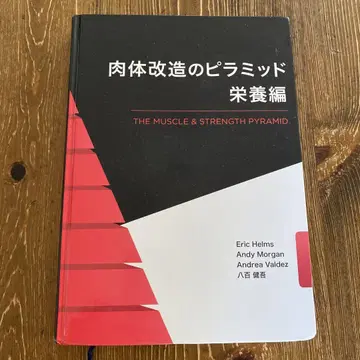 육체 개조 피라미드 영양편
