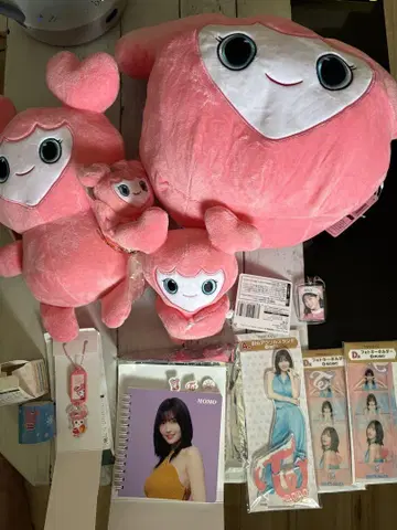 TWICE 모모 봉제 인형 세트와 굿즈