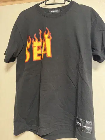 THRASHER 윈드 앤 씨 콜라보 프레임 T