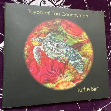 Toyozumi Tan Countryman Turtle Bird