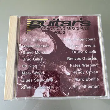 Guitar's practicing musicians vol.2