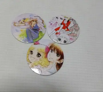 직경 약 5.5cm 마그넷, 3개