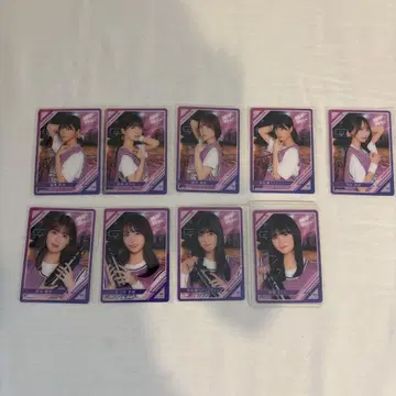 사카미치 시리즈 아이돌 사진 카드 10매 세트