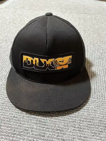 DLXSF 캡