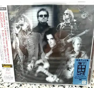 새상품 에어로스미스 얼티미트 베스트 2CD