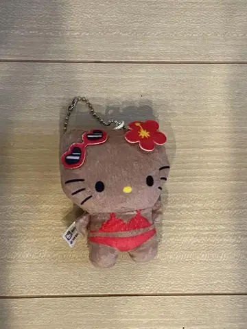 일광화상 키티 키링
