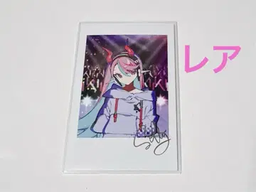 Crazy Raccoon CR 페스티벌 폴라로이드풍 카드 Selly 셀리