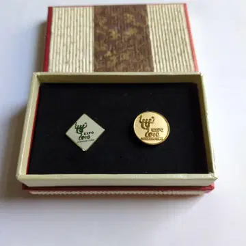 2010년 상하이 엑스포 핀즈