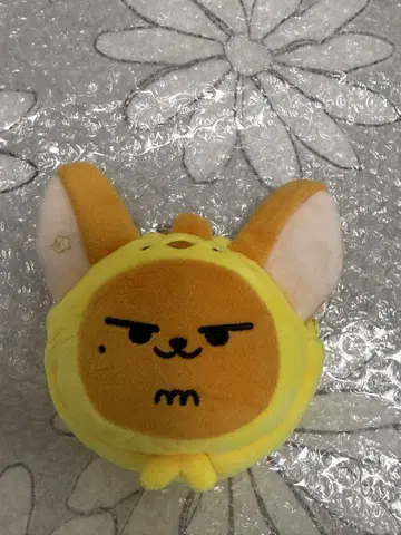 TXT 뿔바투 팬춘 코인 파우치