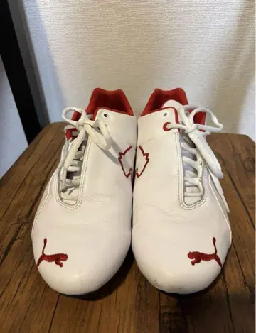 PUMA Ferrari 푸마 페라리 콜라보 드라이빙 슈즈