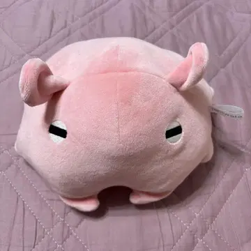 에노시마 수족관 한정 멘다코 복권 봉제인형 에노스이멘다코 4등