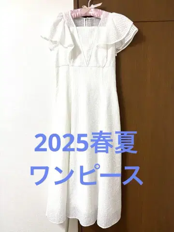 2025 봄/여름 신상 플레어 슬리브 깅엄 체크 원피스