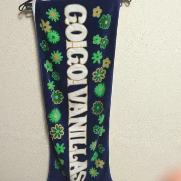 go!go!vanillas FLOWERS TOUR 타월