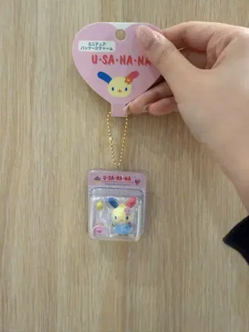 우사하나 미니어처 패키지 참
