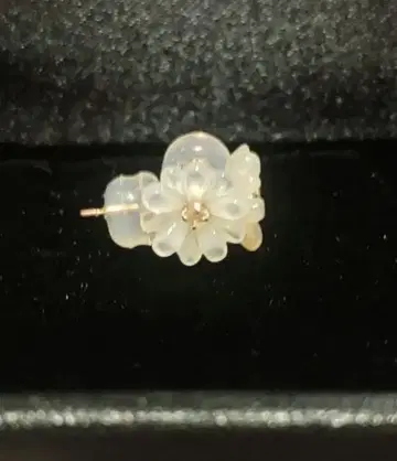 BLOOM 마가렛 귀걸이