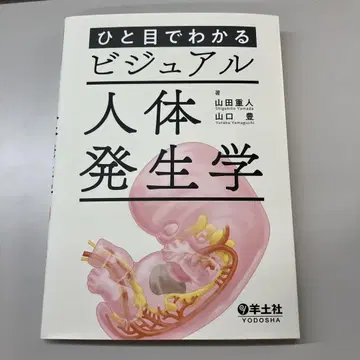 한눈에 알 수 있는 비주얼 인체 발생학