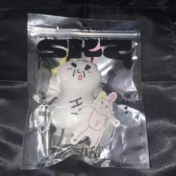 StrayKids 스키즈 멘프로 백참 백참 리노