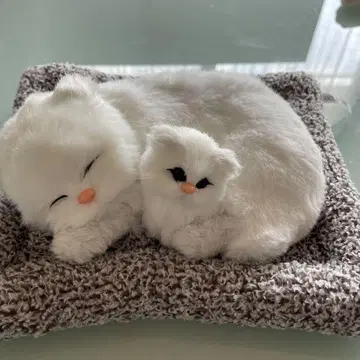 새끼 고양이 봉제 인형 쿠션 포함