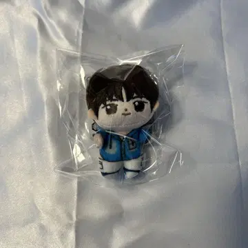 TWS 호와누이 마스코트  1