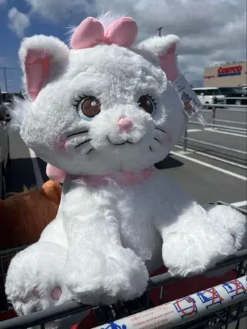 택 포함 새상품 마리 봉제 인형 담요 포함 코스트코