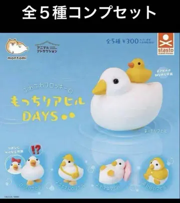 보들보들 오리 DAYS 전 5종 컴플리트 세트