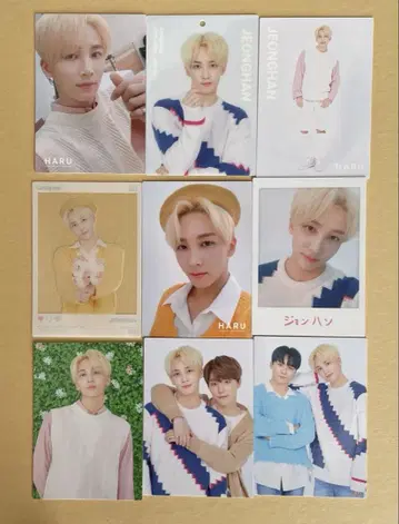 SEVENTEEN HARU 정한