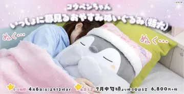 코우펜쨩 함께 꿈꾸는 잘 자요 봉제 인형 (특대형)