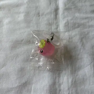 메지루시 액세서리 호ppechan