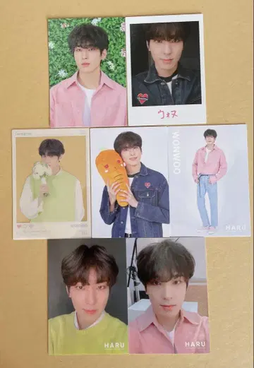 SEVENTEEN HARU 원우