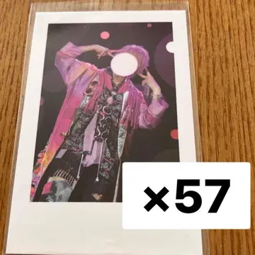 나이코 실사 체키