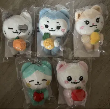 itzy 백참 popup 5개 세트