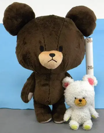 곰의 학교 봉제 인형 [2개 세트]