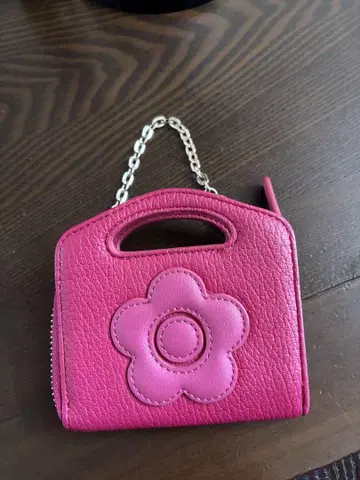 마리 콴트 코인 케이스