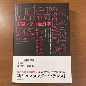 국제 거시 경제학