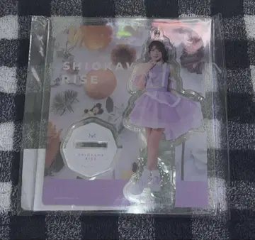 SWEET STEADY 시오카와 리제 아크릴 스탠드 미개봉 새상품