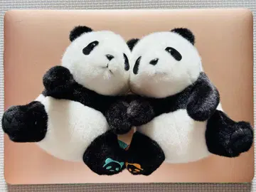 팬더 봉제 인형 중간 사이즈