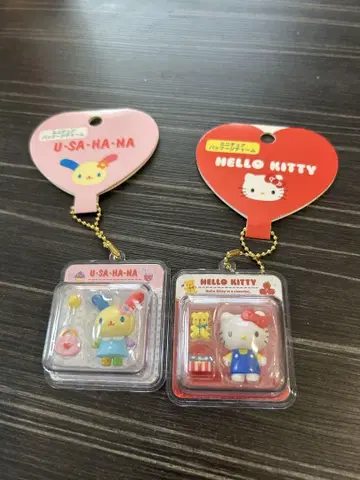 산리오 캐릭터즈 미니어처 패키지 참 헬로키티 우사하나