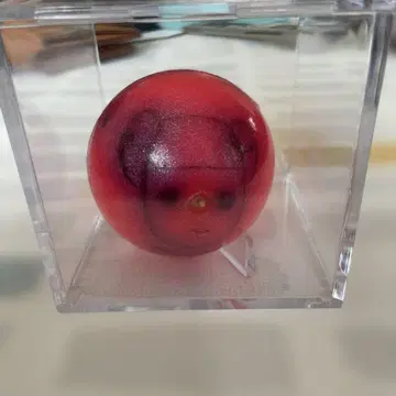 초 도키메키 선전부 사인 포함 공
