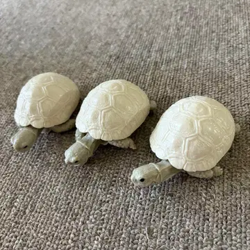 생물대도감 거북이 05 레오파드 육지거북 가샤폰 가챠가챠 3체 세트