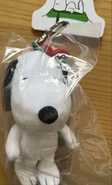 스누피 페스티벌 스누피 가든 한정 마스코트 키 참