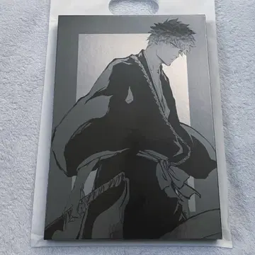 BLEACH EX. 원화전 공식 도록